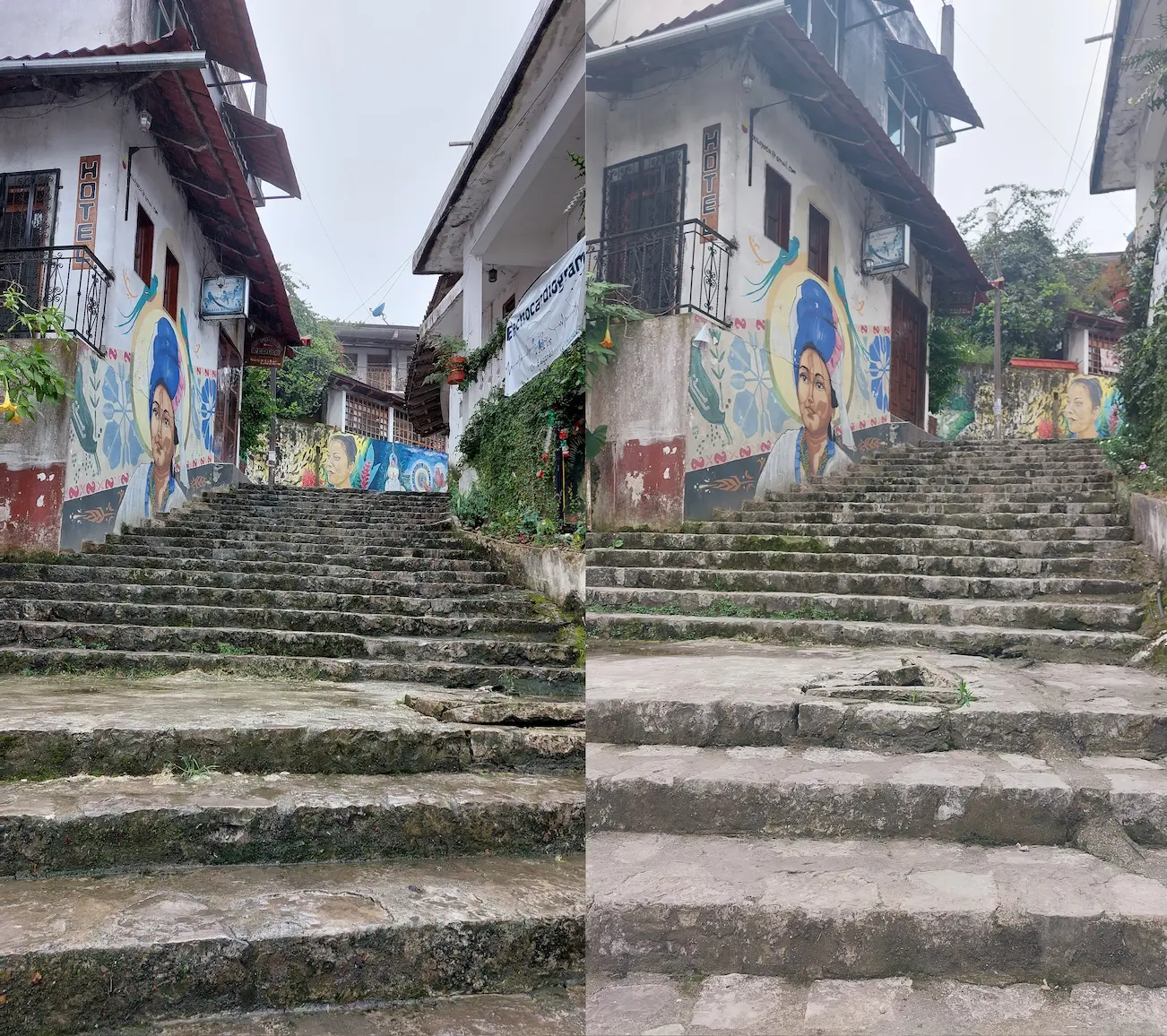 Calle de los murales, 2023 y 2024