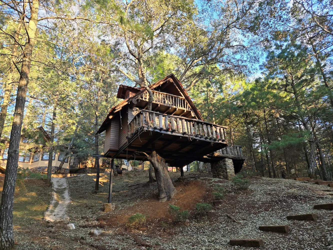 Day 005 - Treehouse