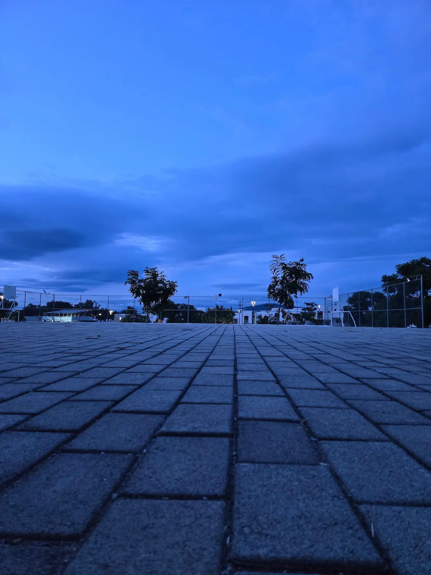 A view from a blue floor