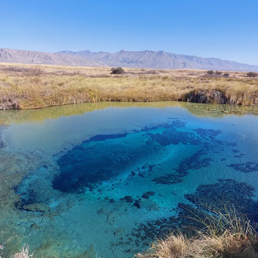 A tiny lake in the middle of the desert