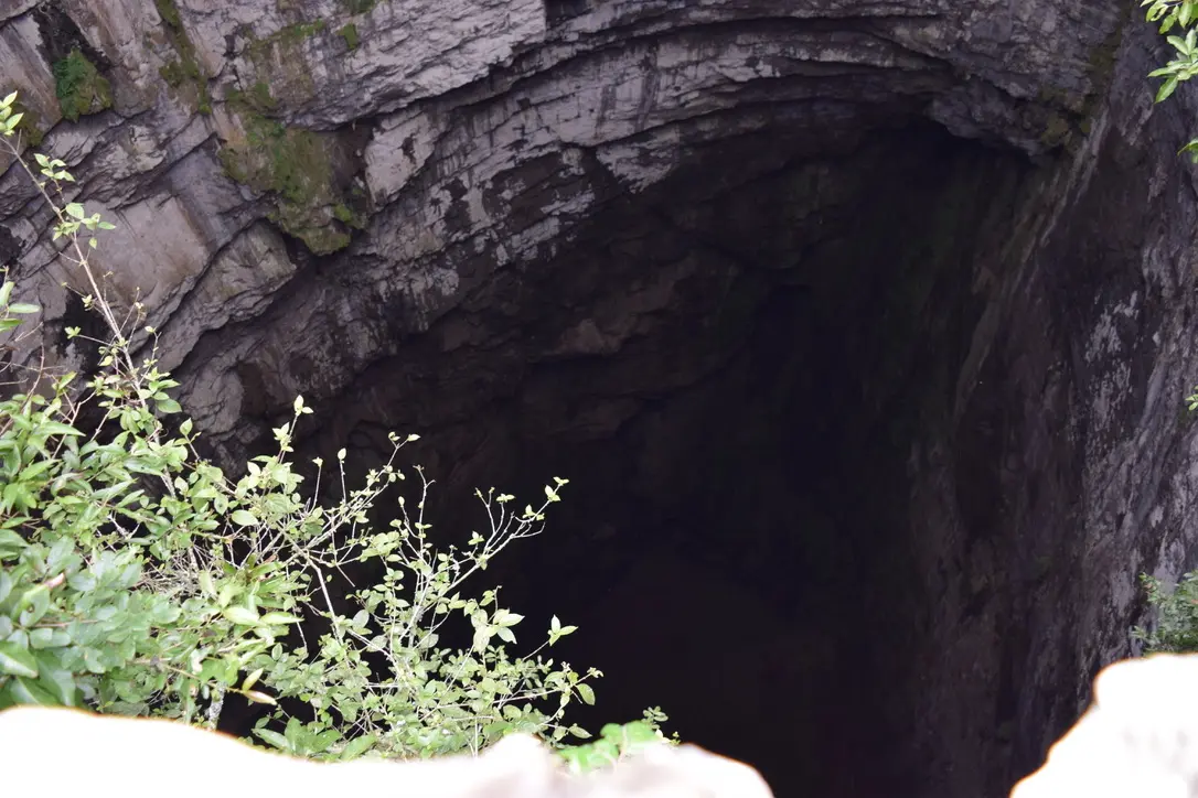 A cave inhabited by swallows