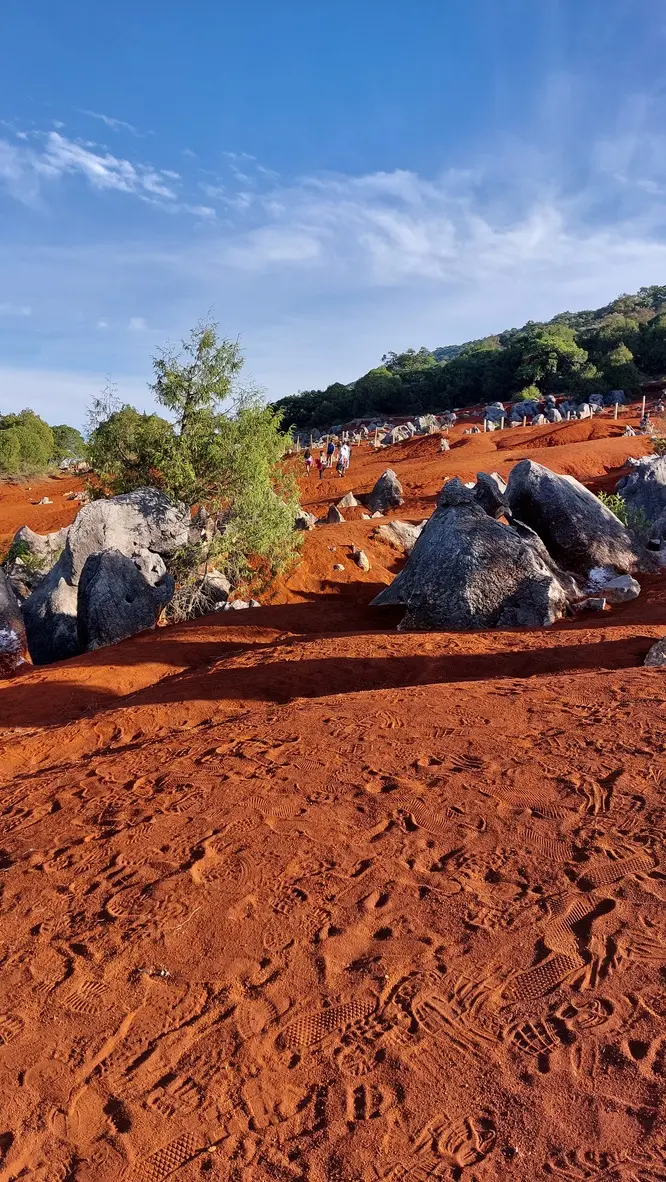 This red ground looks like Mars